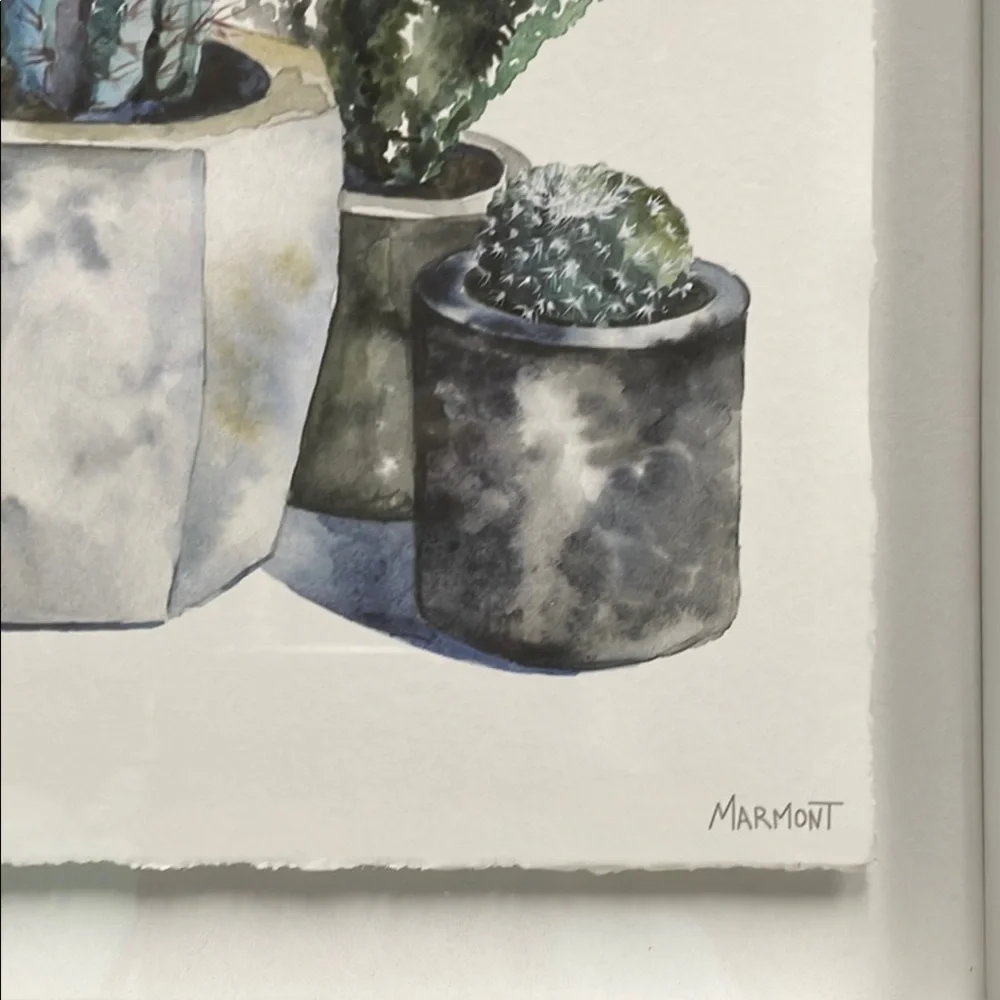 Framed Cactus Art Print - Picture 11 of 13